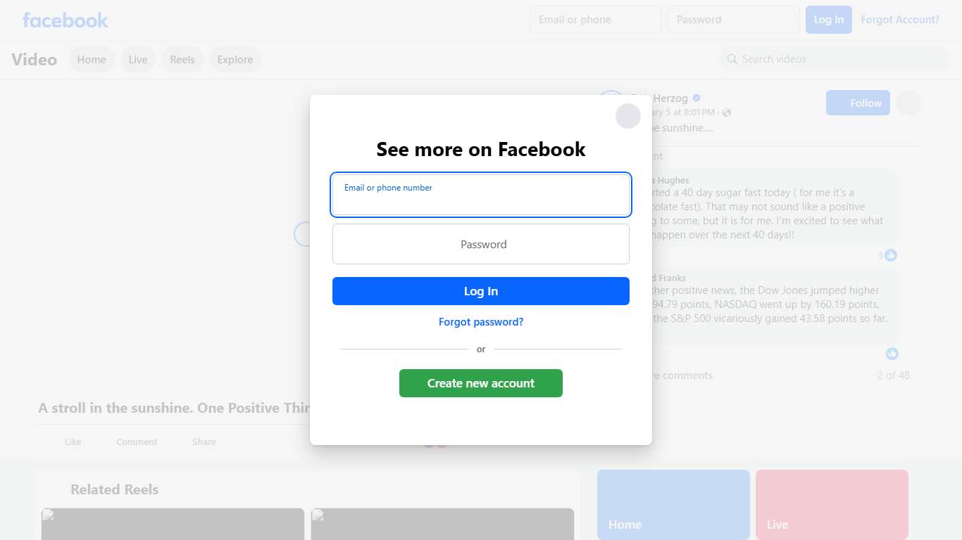 A stroll in the sunshine. One Positive Thing. January 5, 2026 | Bob Herzog | Facebook